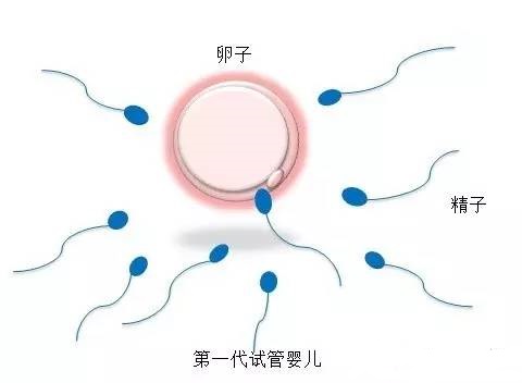 周启明 主任医师